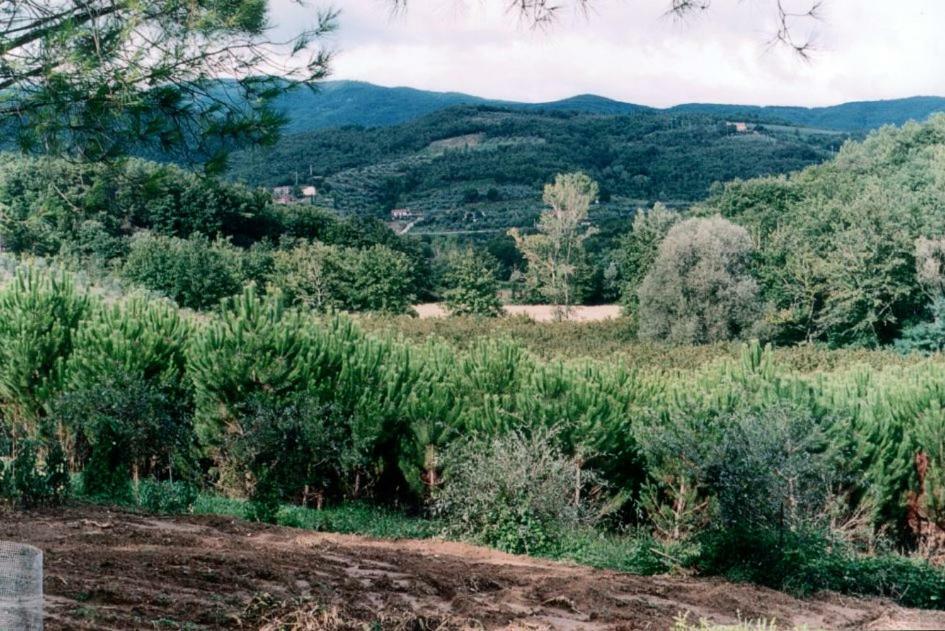 Agriturismo Campo Del Monte Campogialli Экстерьер фото